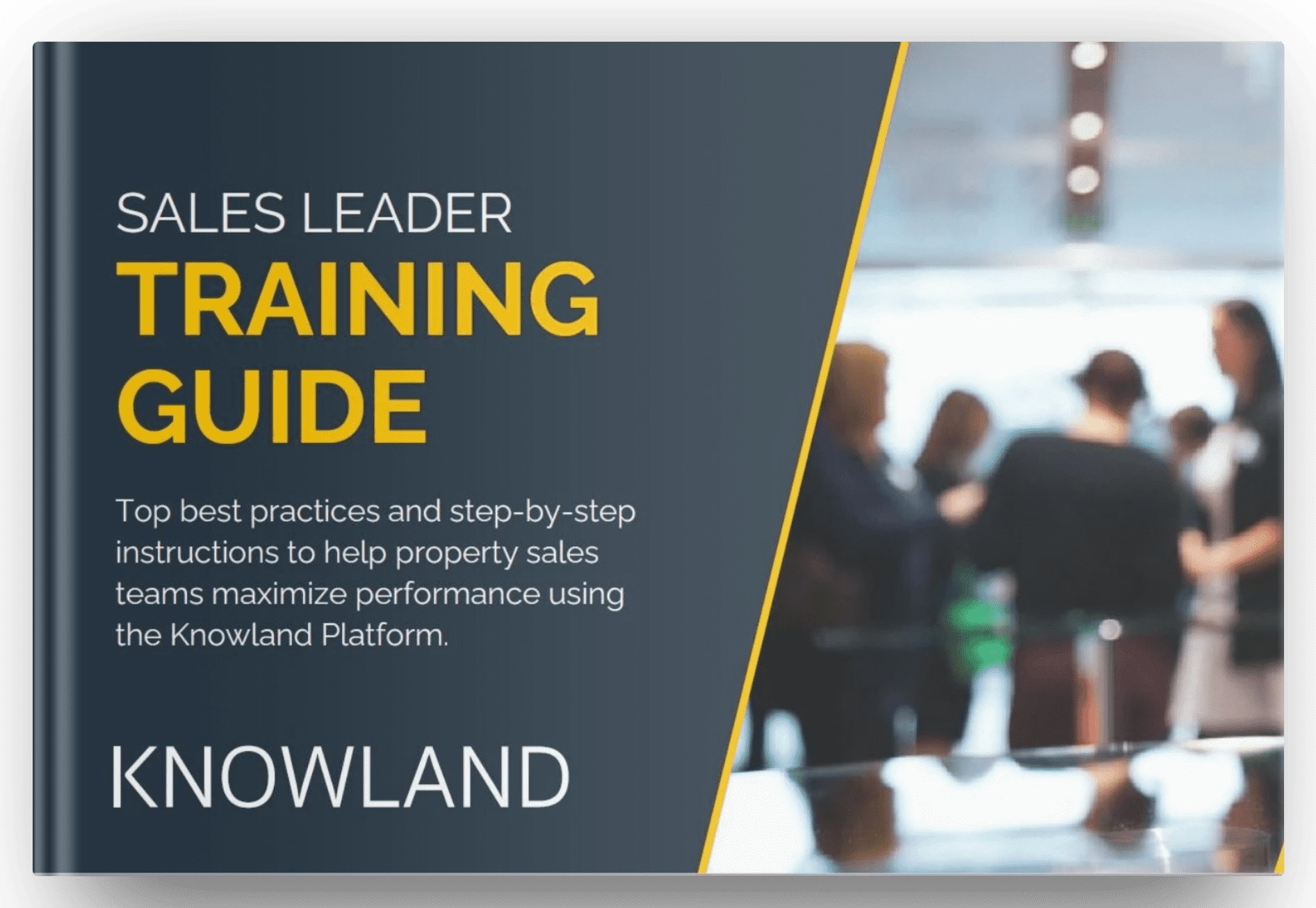 Sales Leader Training Guide